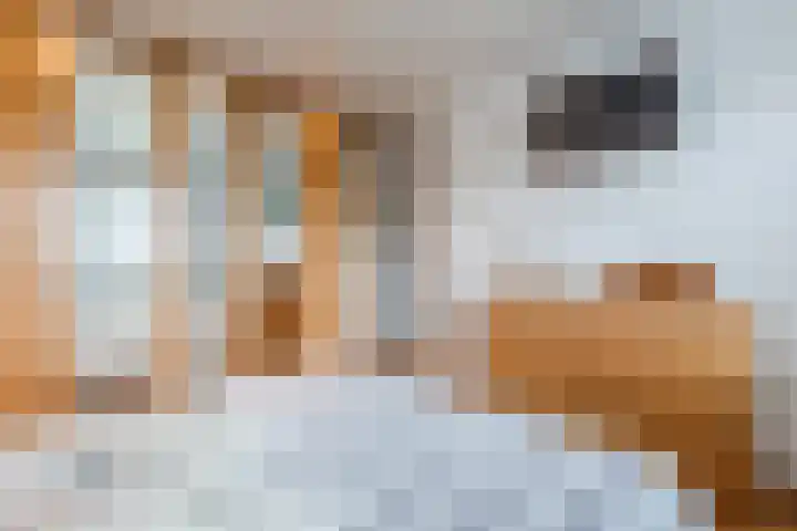 Bosstraat 13 Susteren thumbnail 25