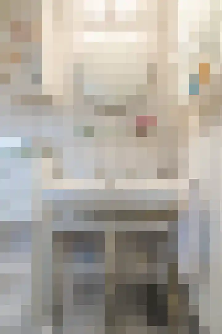 Bosstraat 13 Susteren thumbnail 31