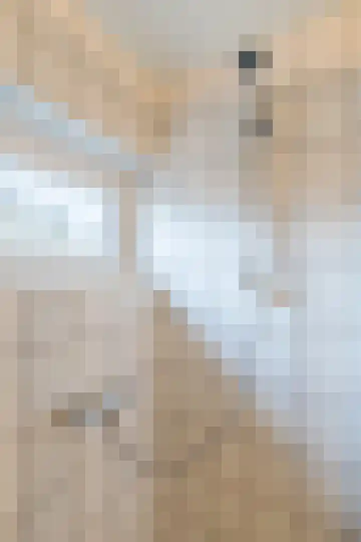 Bosstraat 13 Susteren thumbnail 32