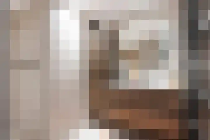 Bosstraat 17 B Echt thumbnail 21