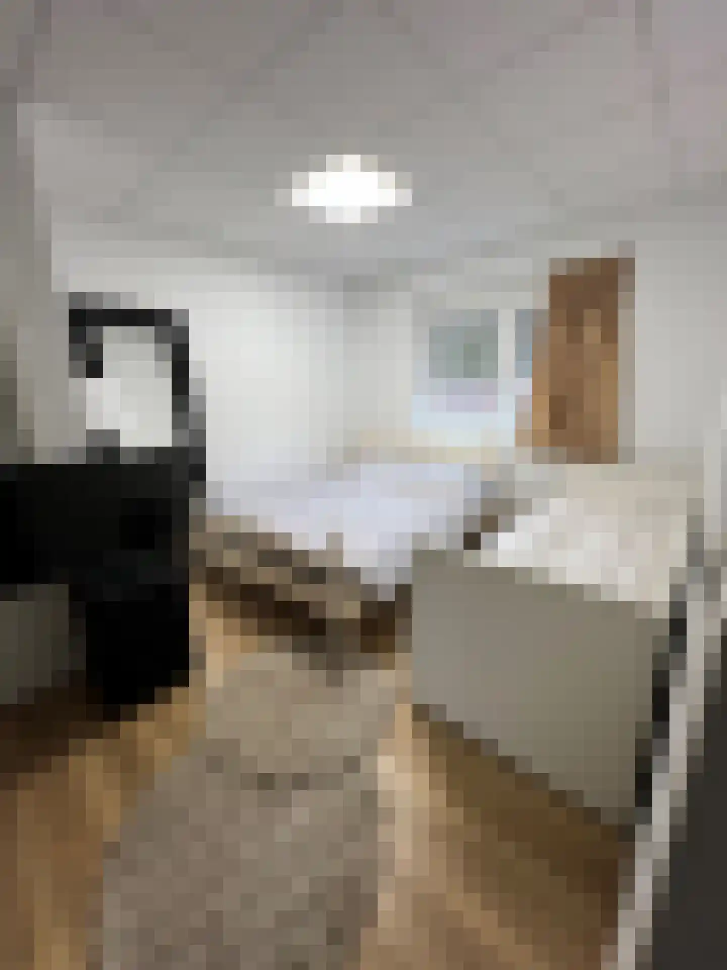 Bosstraat 17 D Echt thumbnail 10