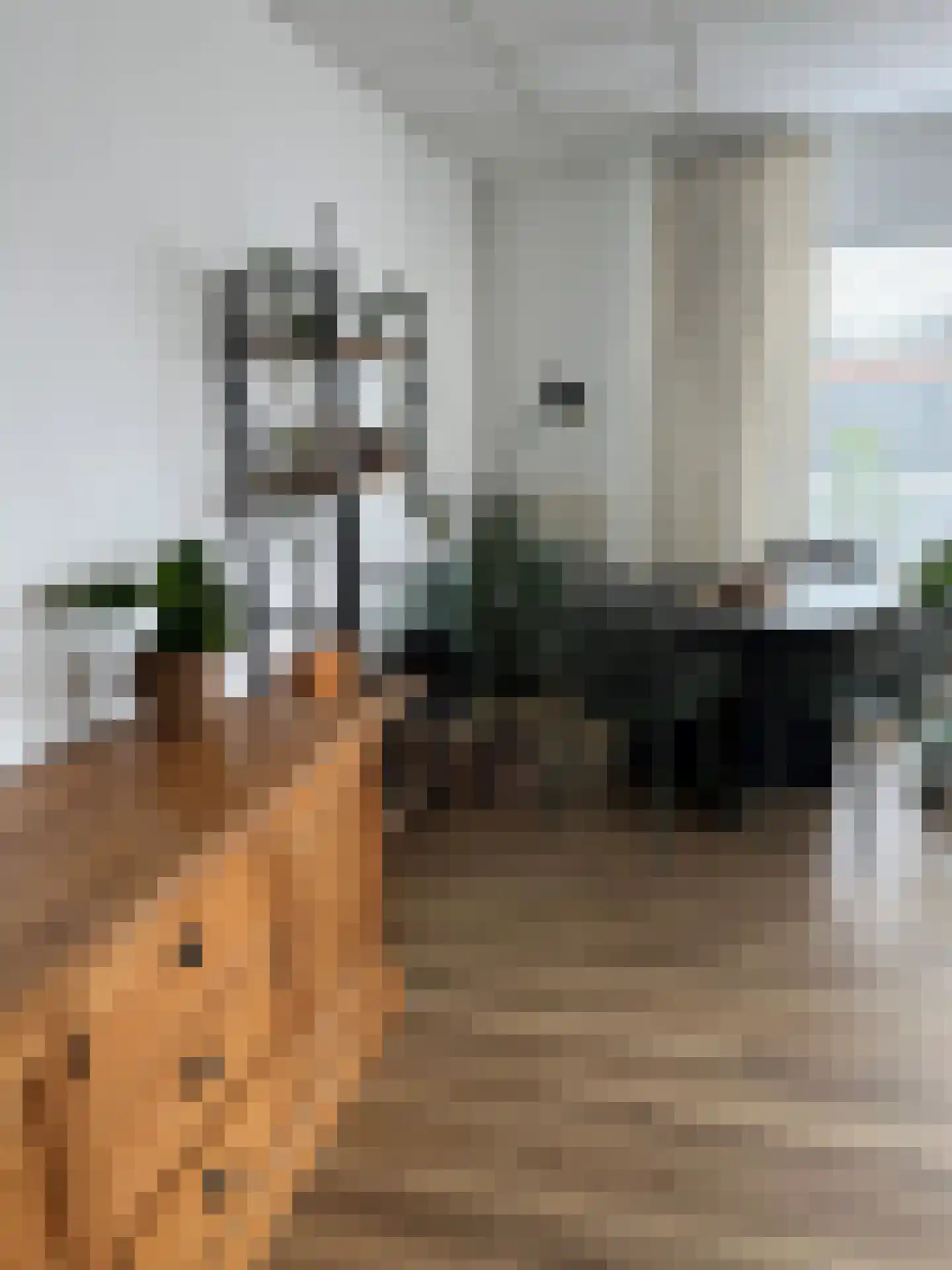 Bosstraat 17 D Echt thumbnail 4