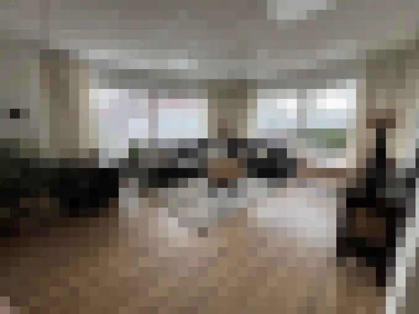 Bosstraat 17 D Echt thumbnail 5