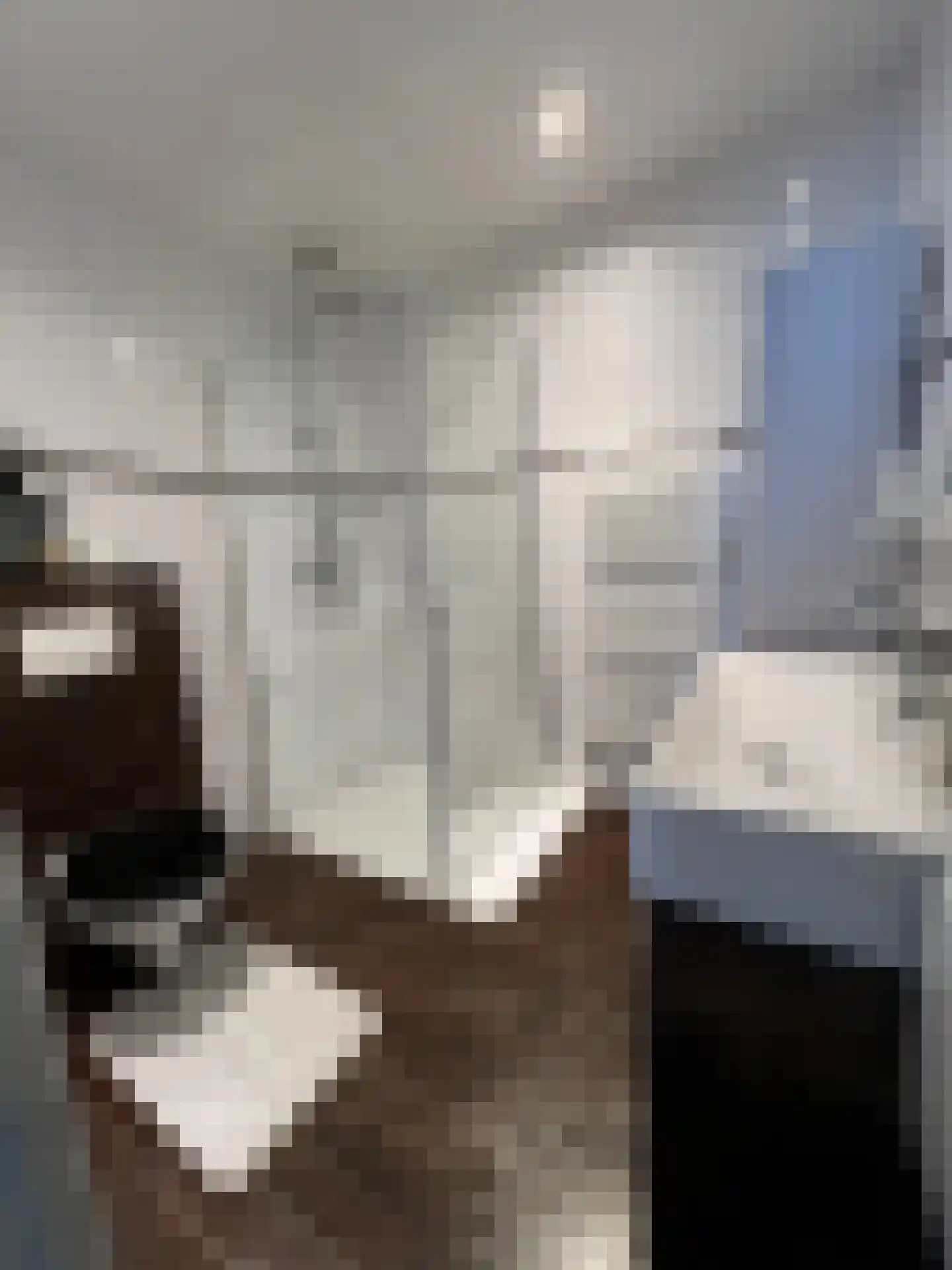Bosstraat 17 D Echt thumbnail 7