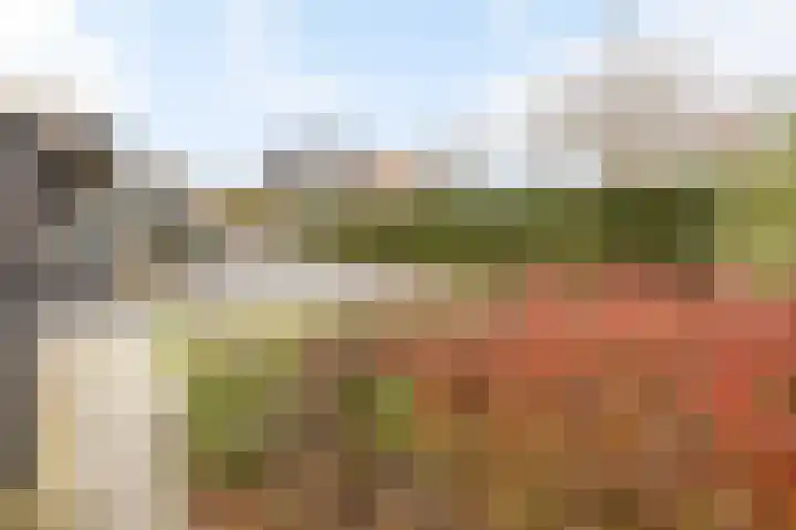 Bosstraat 17 Echt thumbnail 39