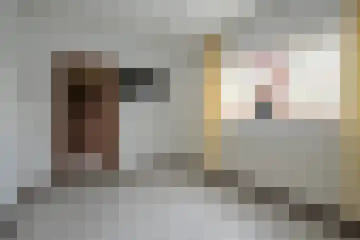 Bosstraat 2 Susteren thumbnail 12