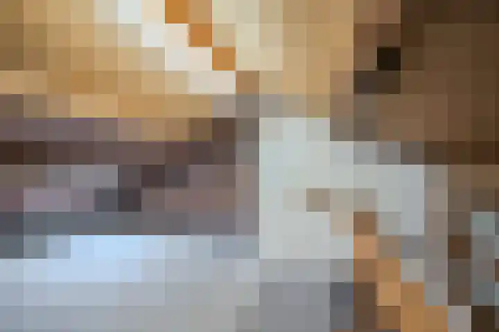 Bosstraat 2 Susteren thumbnail 16