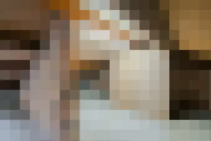 Bosstraat 2 Susteren thumbnail 17
