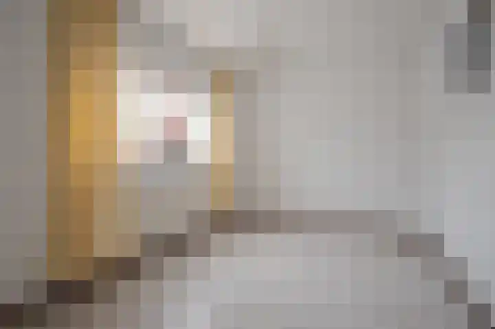 Bosstraat 2 Susteren thumbnail 4