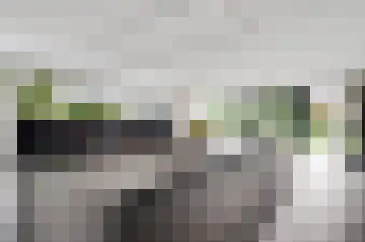Bosstraat 21 Beegden thumbnail 15