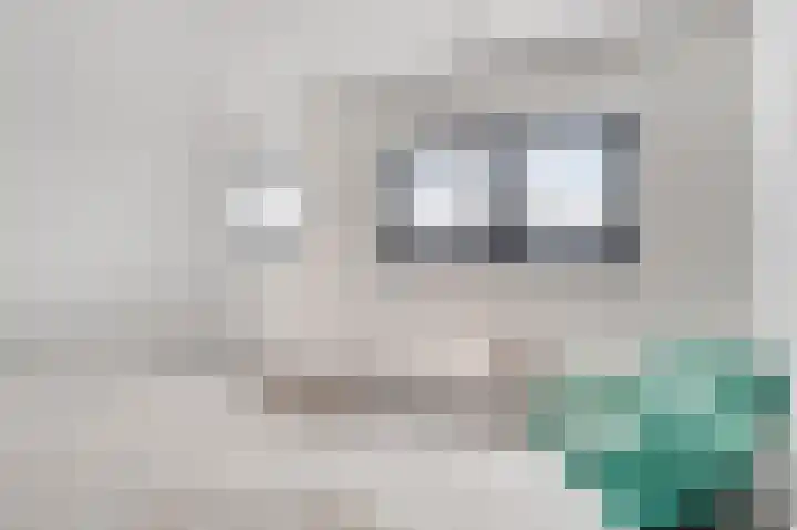 Bosstraat 21 Beegden thumbnail 33