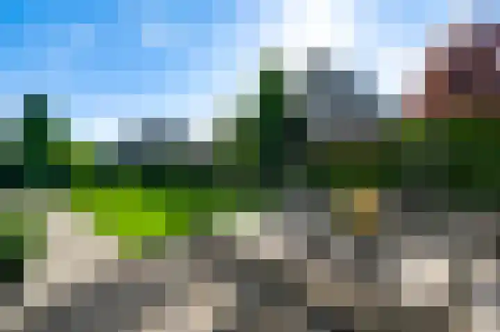 Bosstraat 21 Beegden thumbnail 37