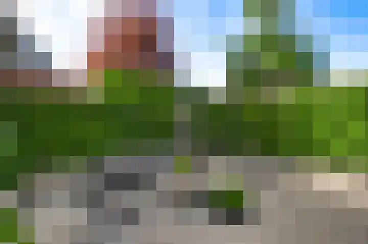 Bosstraat 21 Beegden thumbnail 42