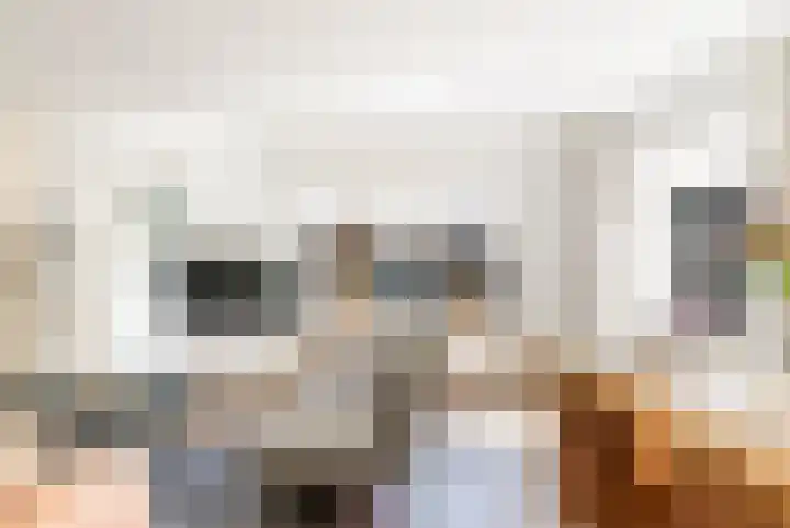 Bosstraat 21 Neede thumbnail 11
