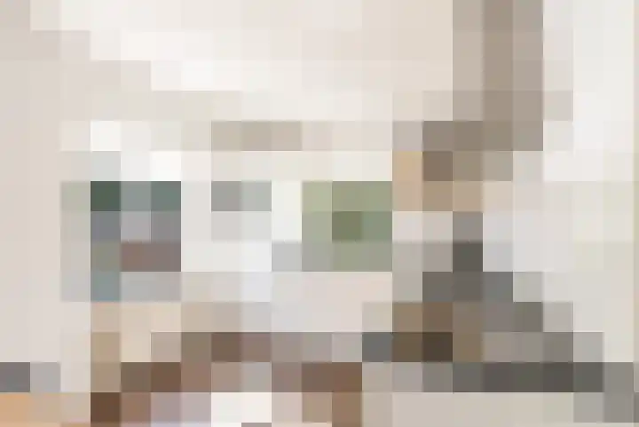 Bosstraat 21 Neede thumbnail 18