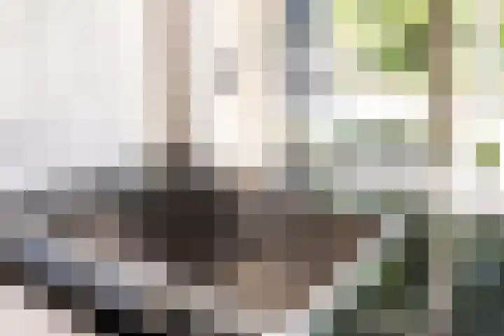 Bosstraat 21 Neede thumbnail 20