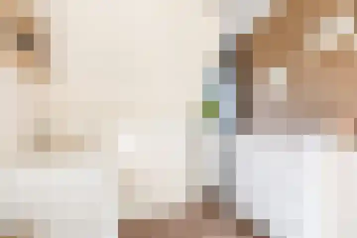Bosstraat 21 Neede thumbnail 30