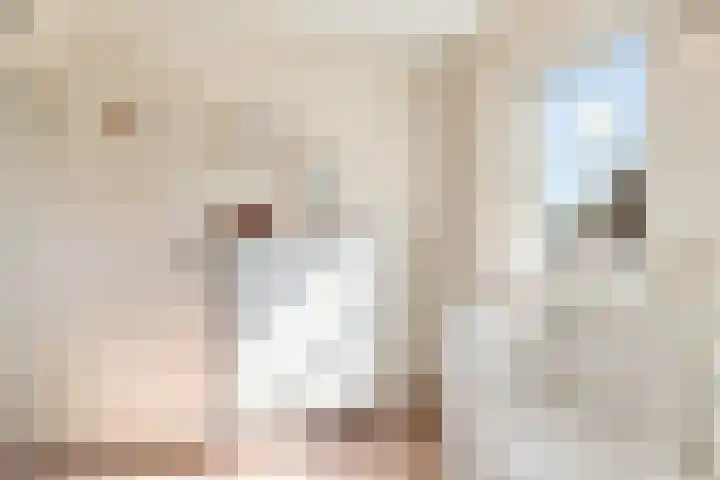 Bosstraat 21 Neede thumbnail 31