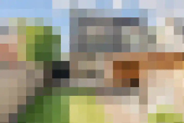 Bosstraat 21 Neede thumbnail 41