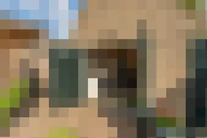 Bosstraat 21 Neede thumbnail 50