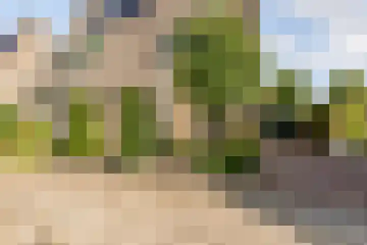 Bosstraat 21 Neede thumbnail 54