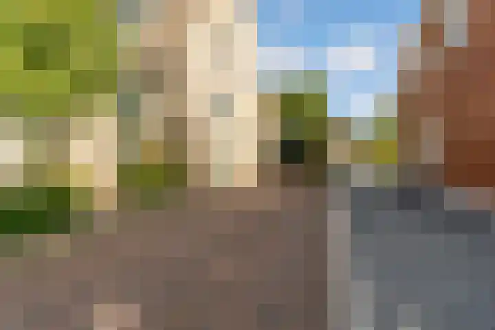 Bosstraat 21 Neede thumbnail 56