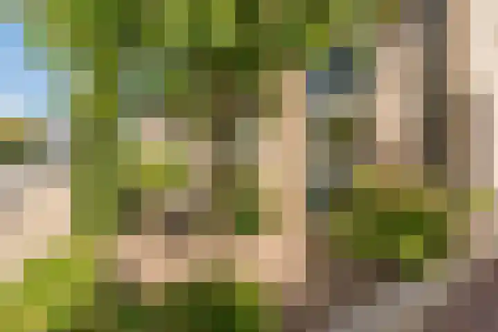 Bosstraat 21 Neede thumbnail 57