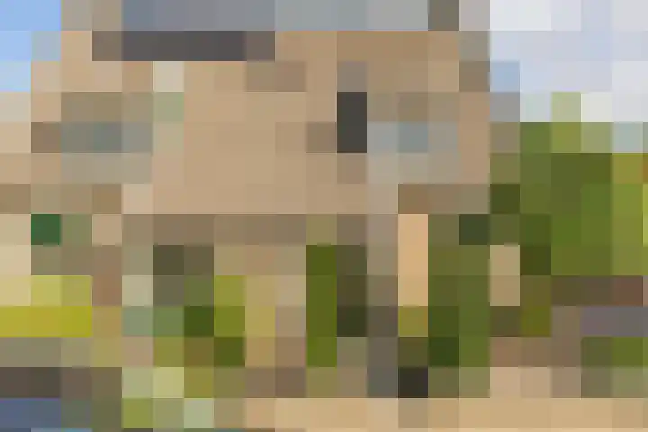 Bosstraat 21 Neede thumbnail 59