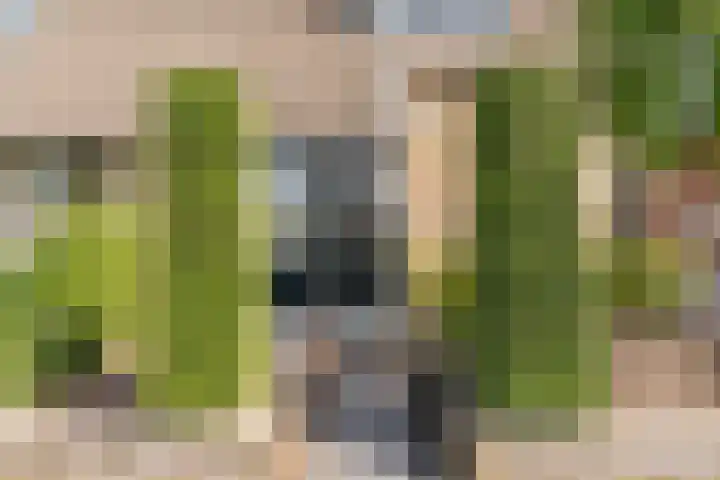 Bosstraat 21 Neede thumbnail 6