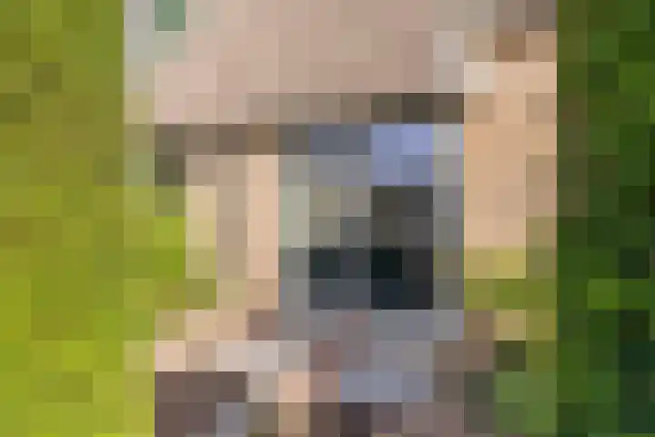 Bosstraat 21 Neede thumbnail 60