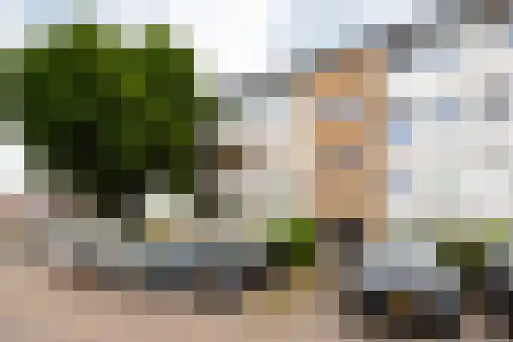 Bosstraat 24 Baarn thumbnail 31