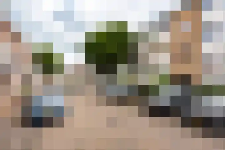 Bosstraat 24 Baarn thumbnail 33