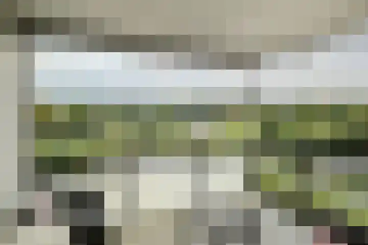 Bosstraat 24 Baarn thumbnail 9