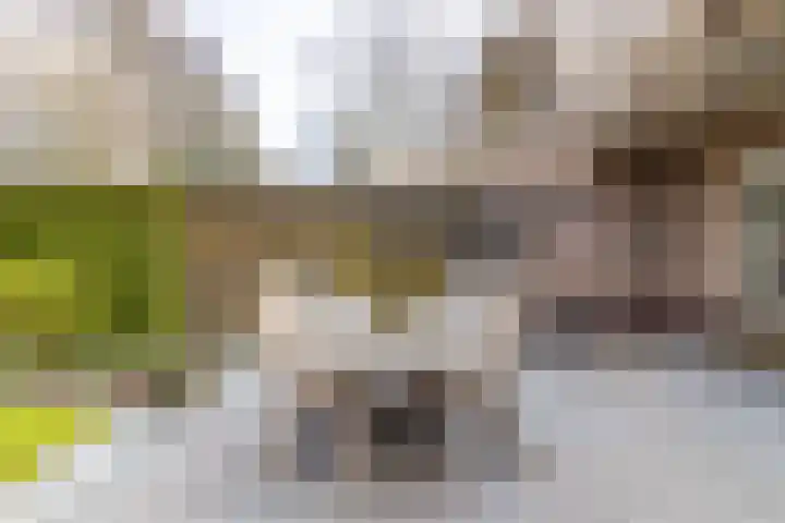 Bosstraat 24 Soest thumbnail 33