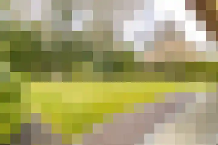 Bosstraat 24 Soest thumbnail 34