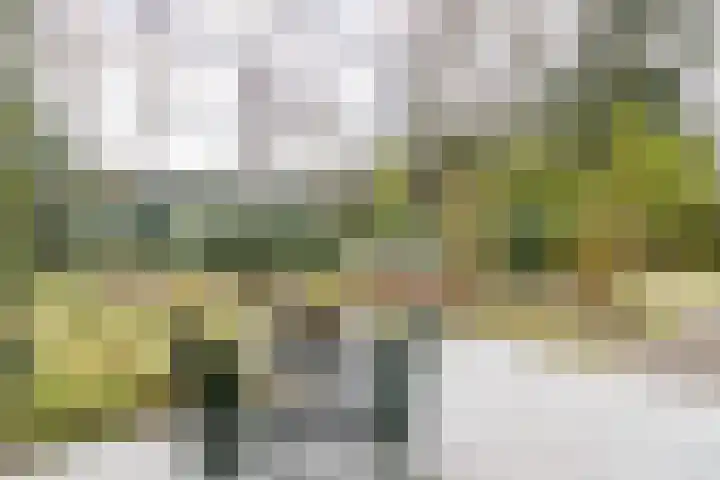 Bosstraat 24 Soest thumbnail 35