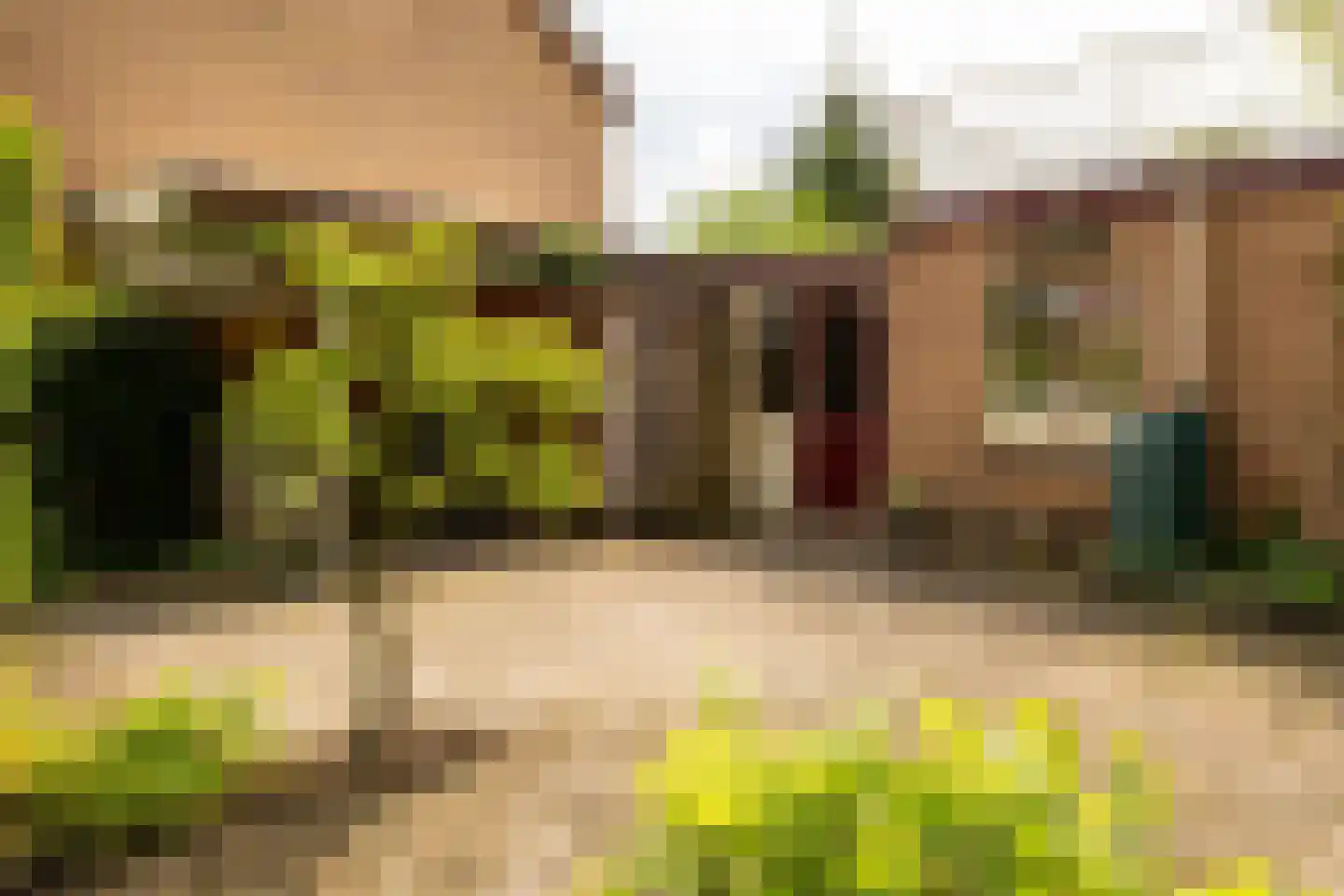 Bosstraat 24 Soest thumbnail 41