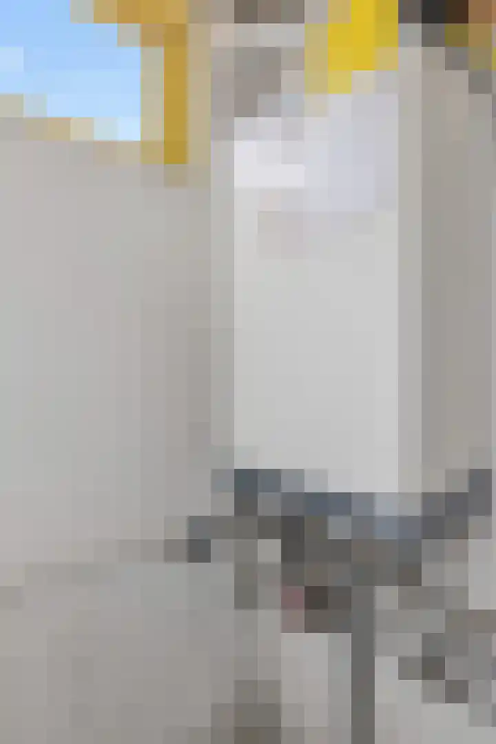 Bosstraat 26 Winkel thumbnail 21