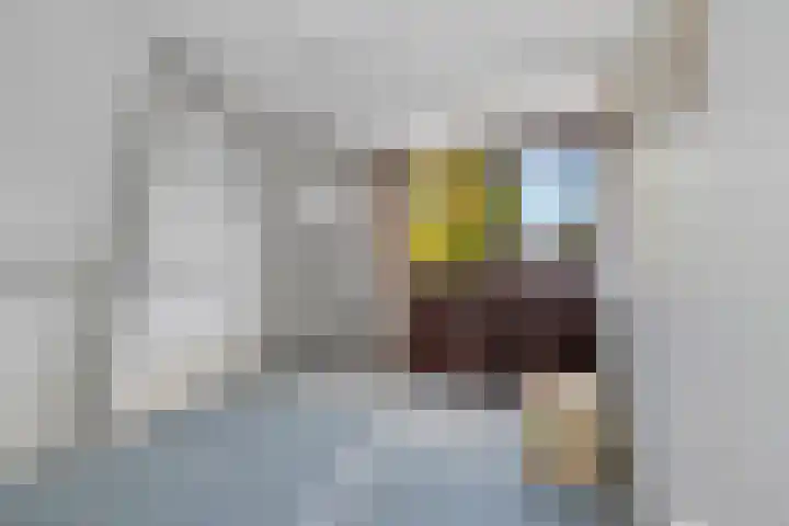 Bosstraat 26 Winkel thumbnail 25