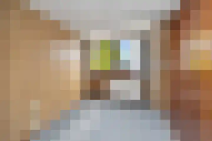 Bosstraat 26 Winkel thumbnail 28