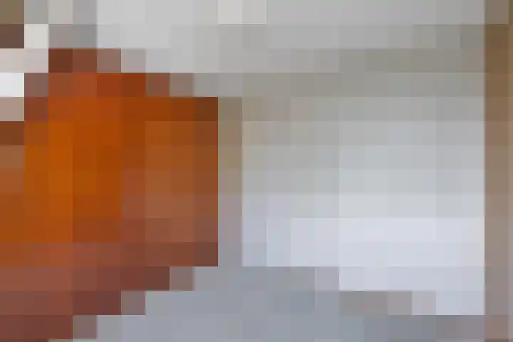 Bosstraat 26 Winkel thumbnail 30