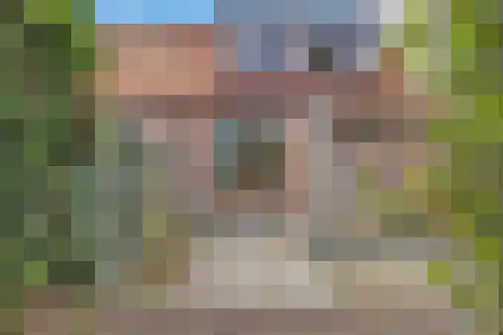 Bosstraat 26 Winkel thumbnail 36