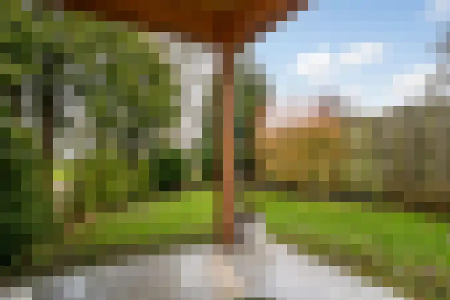 Bosstraat 36 a Winkel thumbnail 10