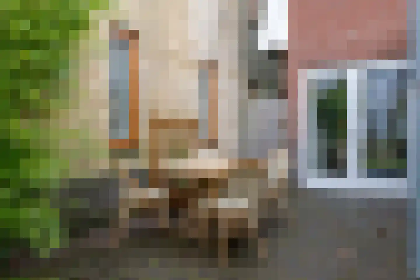 Bosstraat 36 a Winkel thumbnail 14