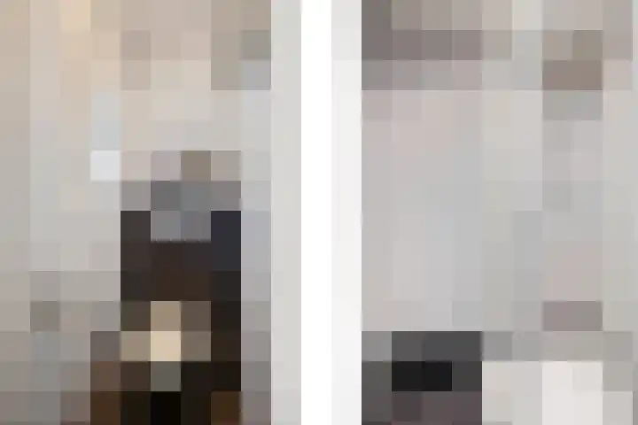 Bosstraat 46 Echt thumbnail 24