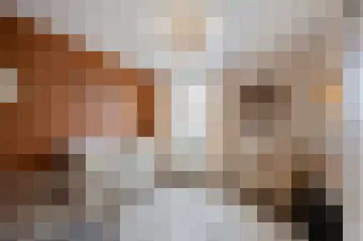 Bosstraat 46 Echt thumbnail 28