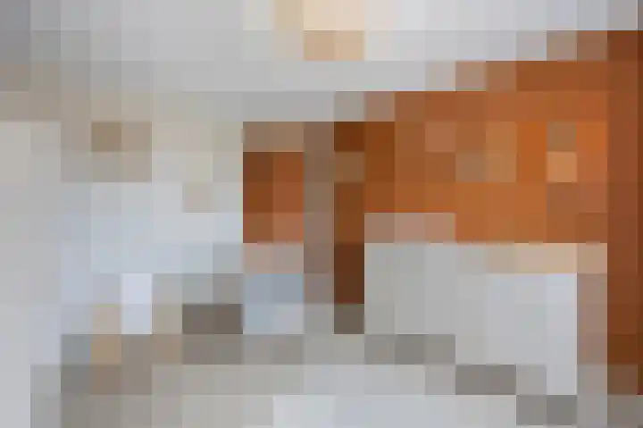 Bosstraat 46 Echt thumbnail 30