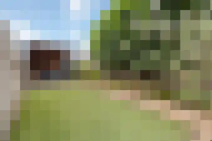 Bosstraat 46 Echt thumbnail 38