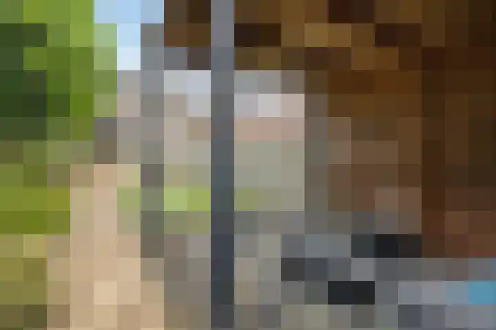 Bosstraat 46 Echt thumbnail 39