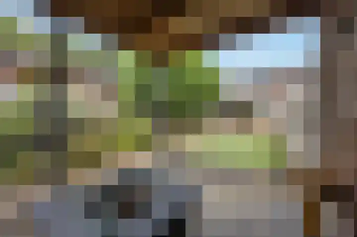 Bosstraat 46 Echt thumbnail 40